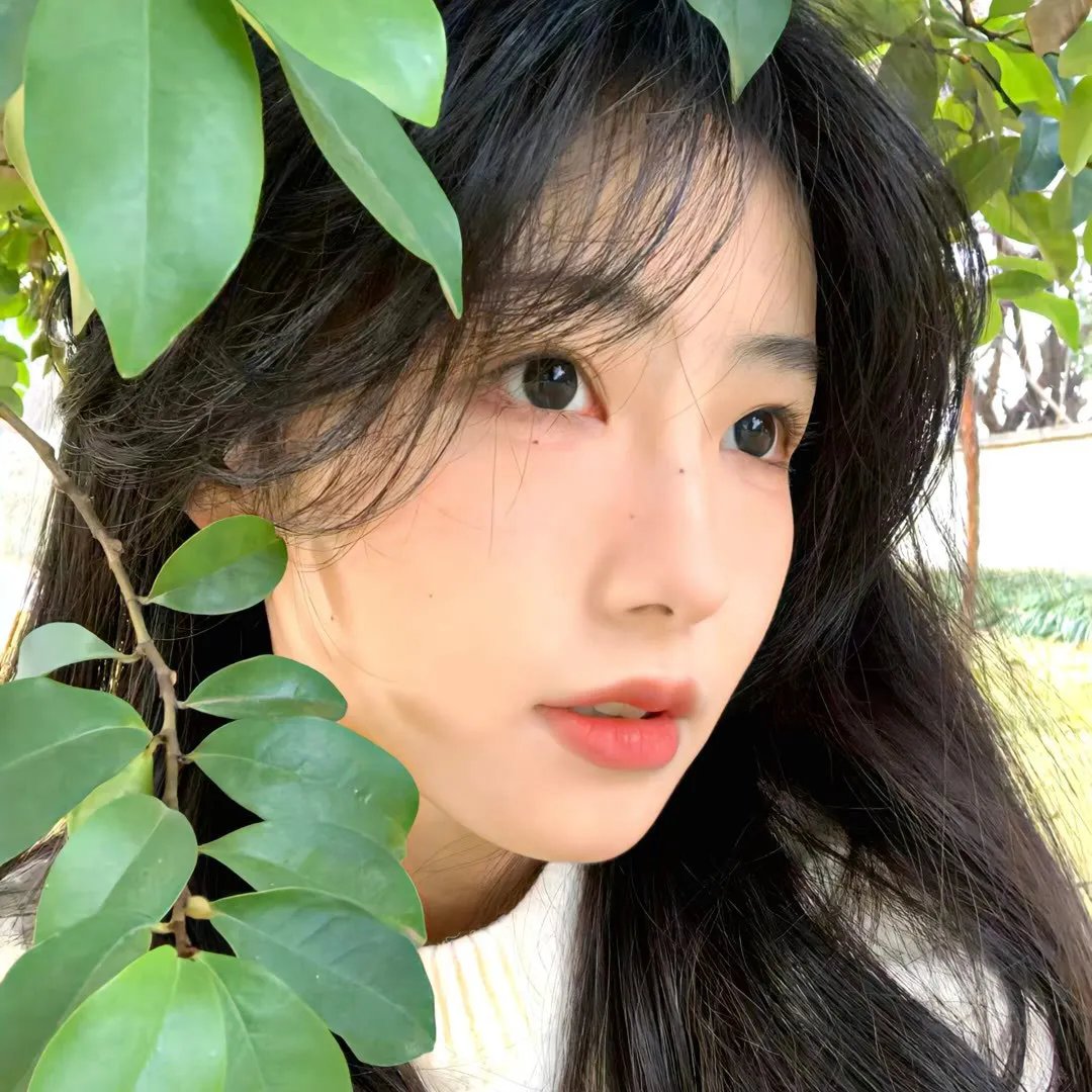 马贩子科尔哈斯